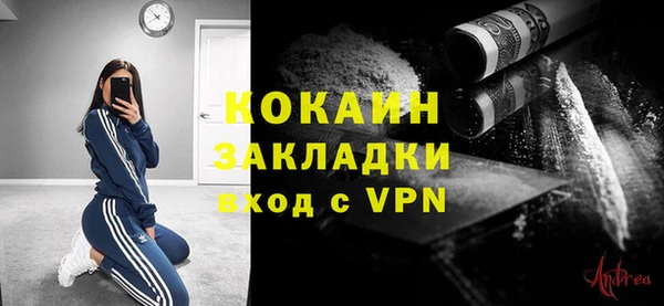 дурь Новодвинск