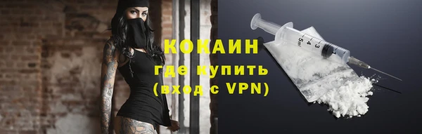 шишки Новозыбков