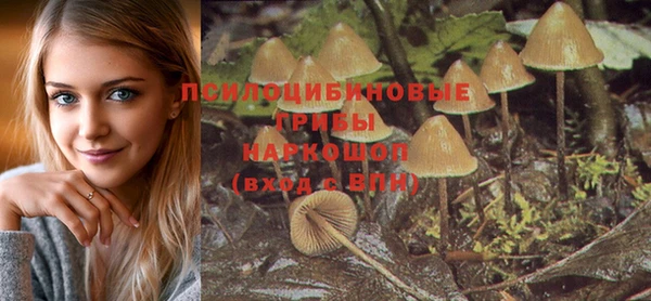 spice Майский