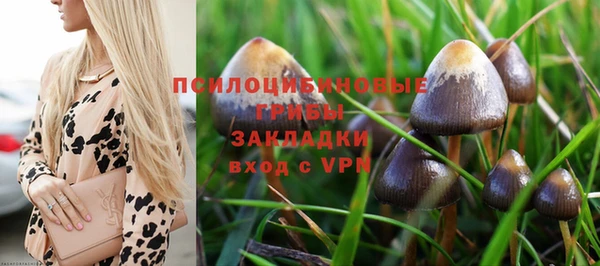 прущие крисы Данков