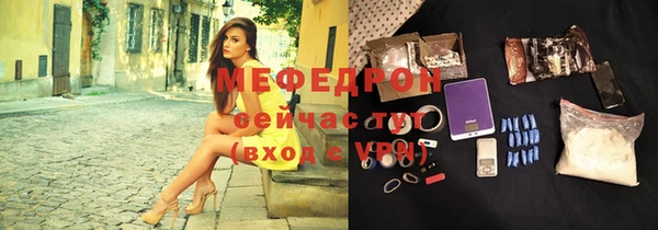 индика Новокубанск