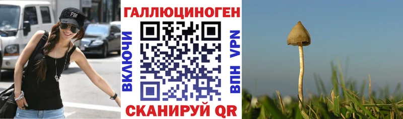 Галлюциногенные грибы ЛСД  Валдай 